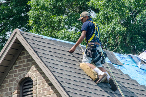 Best Storm Damage Roof Repair  in New Beaver, PA