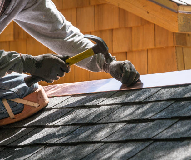 Best Roof Gutter Cleaning  in New Beaver, PA